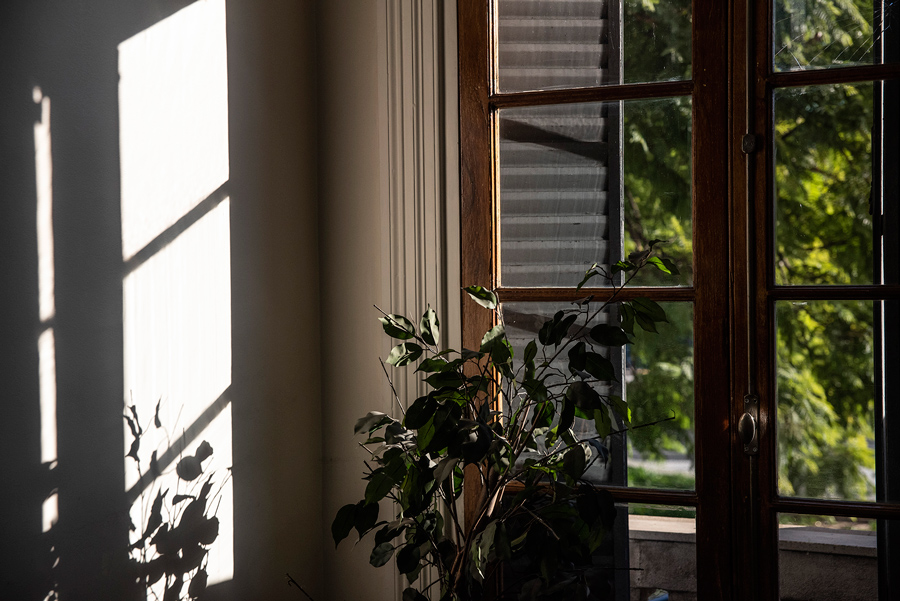 Silvana Alejandra Bovone